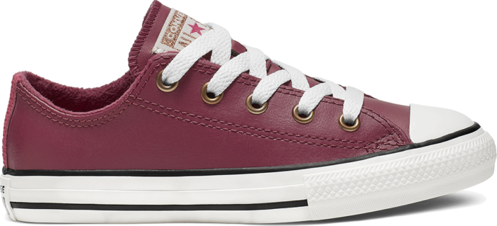 Converse Chuck Taylor All Star Mission Warmth Low Top Pink 665116C