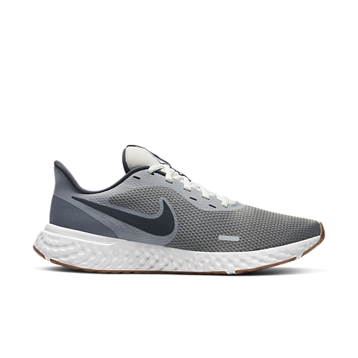 Nike Revolution 5 Smoke Grey BQ3204-008