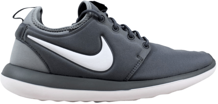 Nike Roshe Two Cool Grey (GS) 844653-004