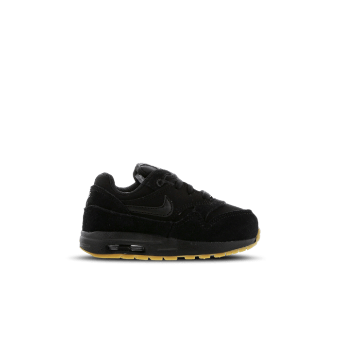 Nike Air Max 1 Black 807604-008