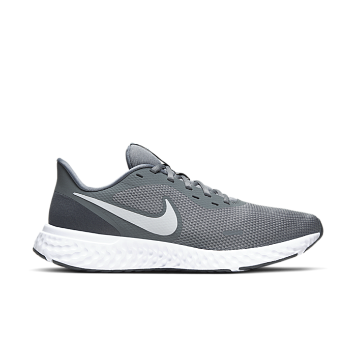 Nike Revolution 5 Cool Grey BQ3204-005