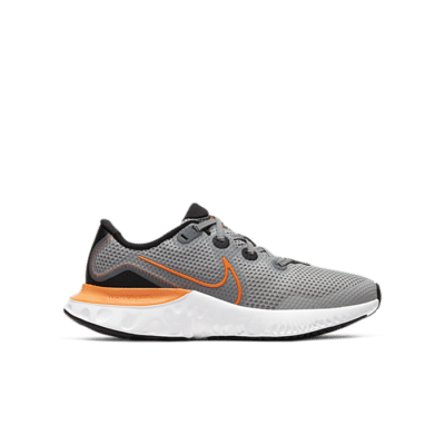 Nike Renew Run Light Smoke Grey (GS) CT1430-070