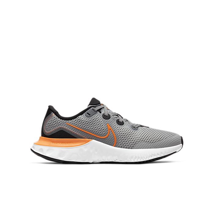 Nike Renew Run Light Smoke Grey (GS) CT1430-070