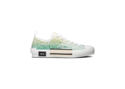 Dior And Shawn B23 Low Top 3SN249YYL_H661