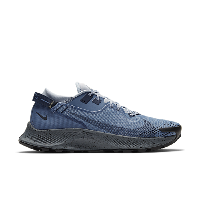 Nike Pegasus Trail 2 GORE-TEX Blauw CU2016-400