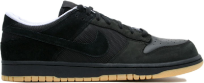 Nike Dunk Low Anthracite Astro 304714-009
