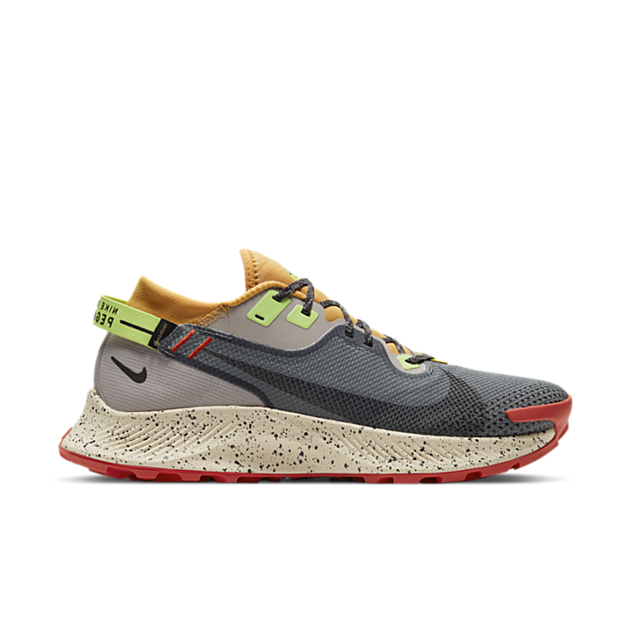 Nike Pegasus Trail 2 Gore-Tex Smoke Grey Bucktan CU2016-002 | Multicolor