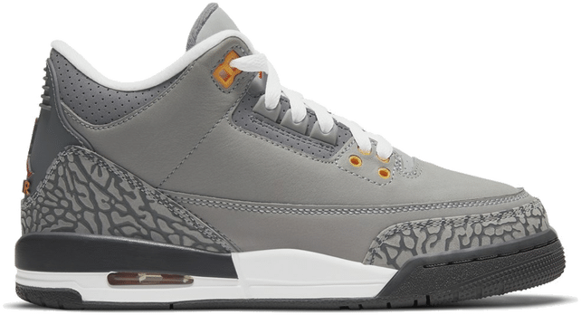 Jordan 3 Retro Cool Grey (2021) (GS) 398614-012