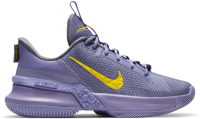 Nike LeBron Ambassador 13 Lakers CQ9329-500