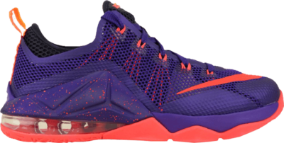 Nike Lebron 12 Low GS Purple 744547-565