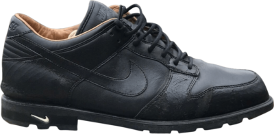 Nike Golf Dunk SB Low ‘Black’ Black 314227-001