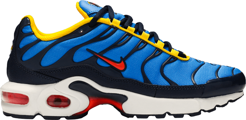 air max plus gs blue