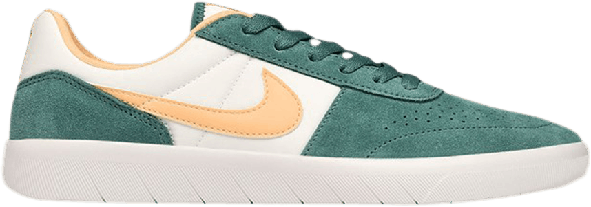 nike team classic sb