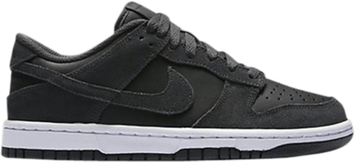 Nike Dunk Low GS ‘Anthracite’ Black 310569-034