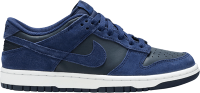 Nike Dunk Low GS ‘Binary Blue’ Blue 310569-406