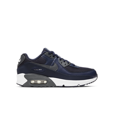 Nike Air Max 90 Blauw DJ4614-400
