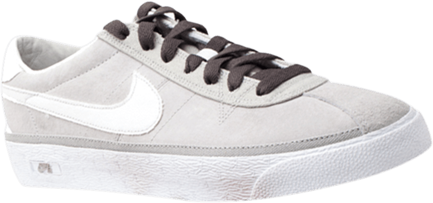 nike zoom bruin sb