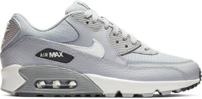 Nike Air Max 90 Wolf Grey Summit White (W) 325213-062