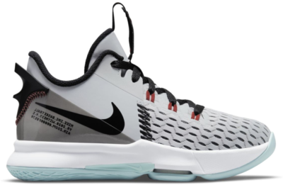 Nike LeBron Witness 5 Pure Platinum Light Dew (GS) CT4629-006