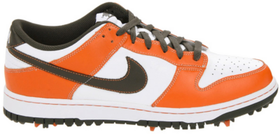 Nike Dunk NG White Orange 484294-101