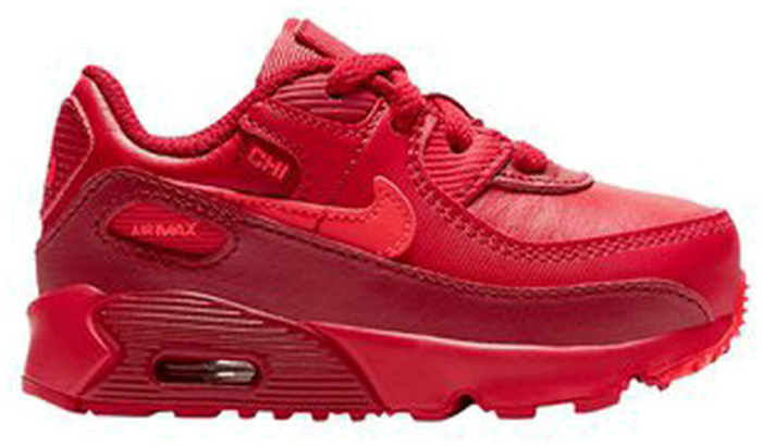 Nike Air Max 90 City Special Chicago (TD) DH0153-600