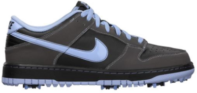 Nike Dunk Low Golf Black Light Blue 484294-001