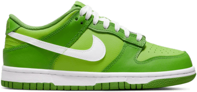 Nike Dunk Low Chlorophyll (GS) DH9765-301