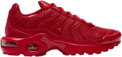 Nike Air Max Plus Triple Red (GS) CQ9748-600