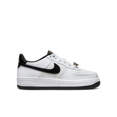 Nike Air Force 1 Low World Champion (GS) DQ0300-100
