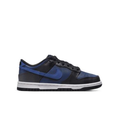 Nike Dunk Low Back To Cool Blauw DH9765-402