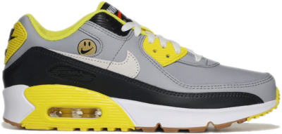Nike Air Max 90 Leather Go The Extra Smile (GS) DQ0570-001