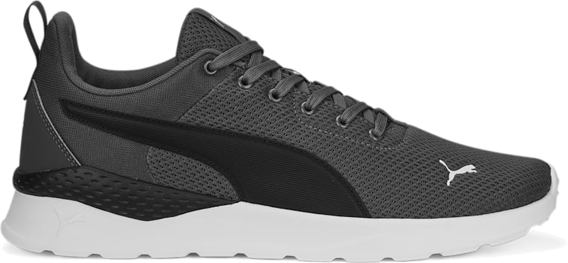 Puma 2024 anzarun trainers