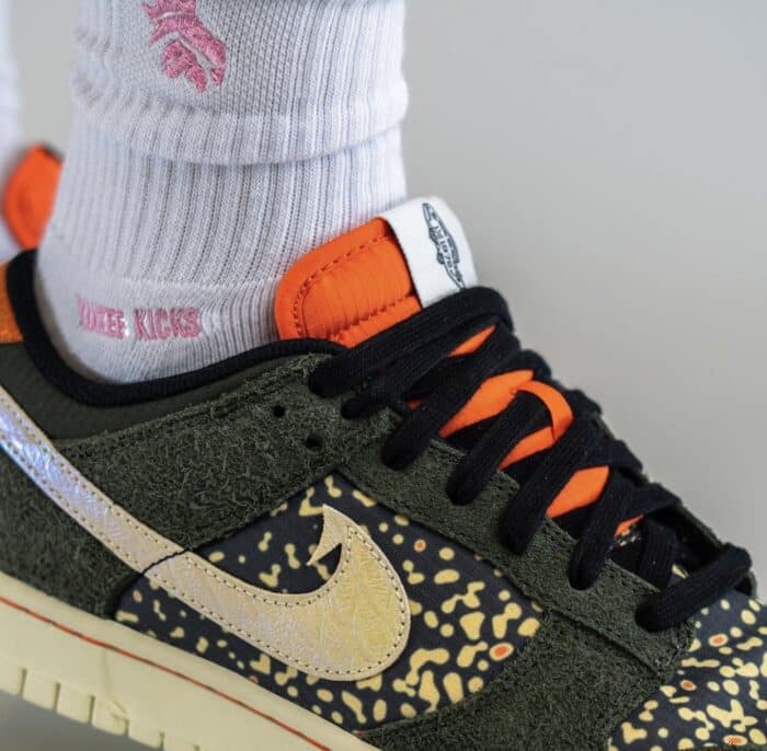 dunk nike low rainbow trout