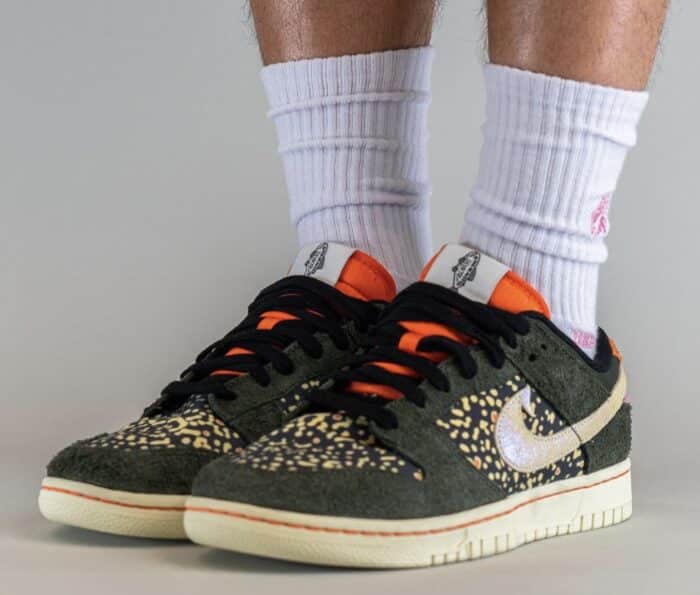 nike dunk low rainbow trout