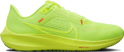 Nike Pegasus 40 Grinch (Women’s) DV3854-700