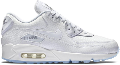 Nike Air Max 90 Ice Pack White (GS) 443817-101