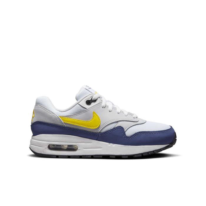 blue recall air max 1