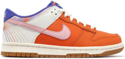Nike Dunk Low SE Everything You Need (GS) FN0600-801