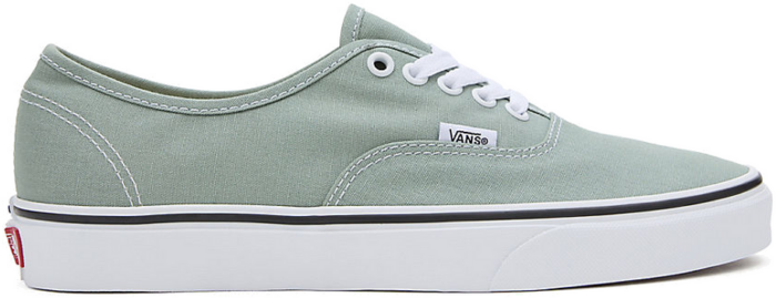 VANS Color Theory Authentic  VN000BW5CJL