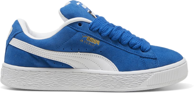 Royal blue pumas men's on sale