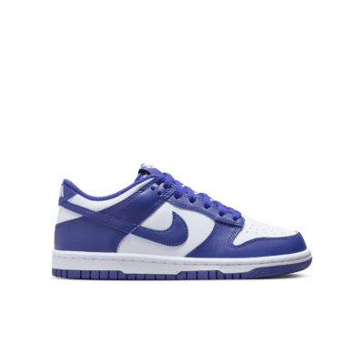 Nike Dunk Low Concord (GS) FB9109-106