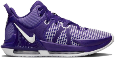 Nike LeBron Witness 7 TB Court Purple DZ3299-500