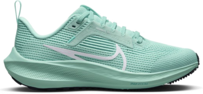 Nike Zoom Air Pegasus 40 Emerald Rise (GS) DX2498-300