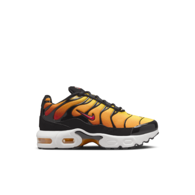 Nike Air Max Plus Zwart CD0610-029