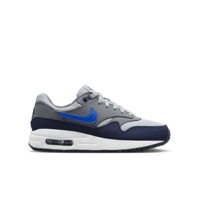 Air Max 1 Grijs DZ3307-007