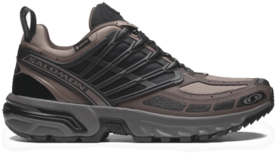 Salomon ACS Pro GTX Array