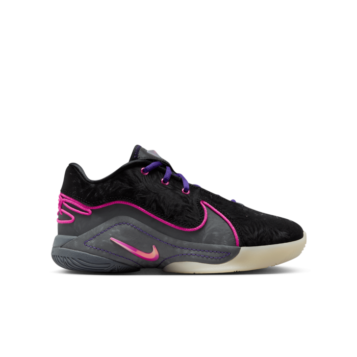 LeBron XXII Zwart FV5636-001