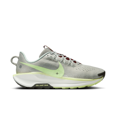 Nike Pegasus Trail 5 Grijs DV3864-004