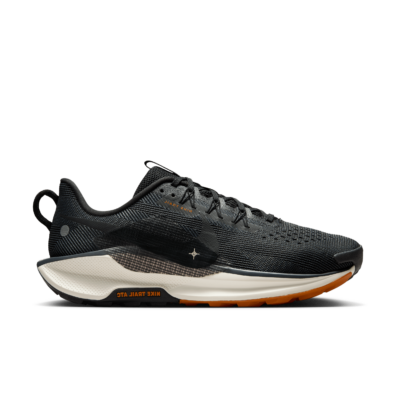 Nike Pegasus Trail 5 Zwart DV3864-006