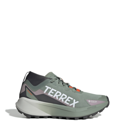 Adidas Terrex Agravic GTX Trail Running Silver Green JP7253